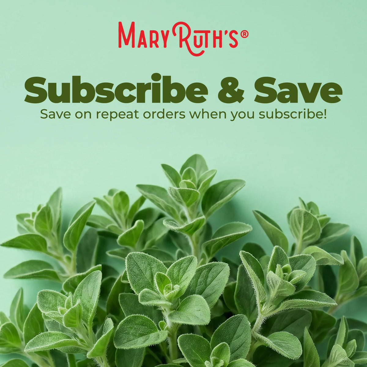 Organic Oil of Oregano Liquid Drops