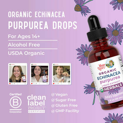 Organic Echinacea Purpurea Herbal Liquid Drops