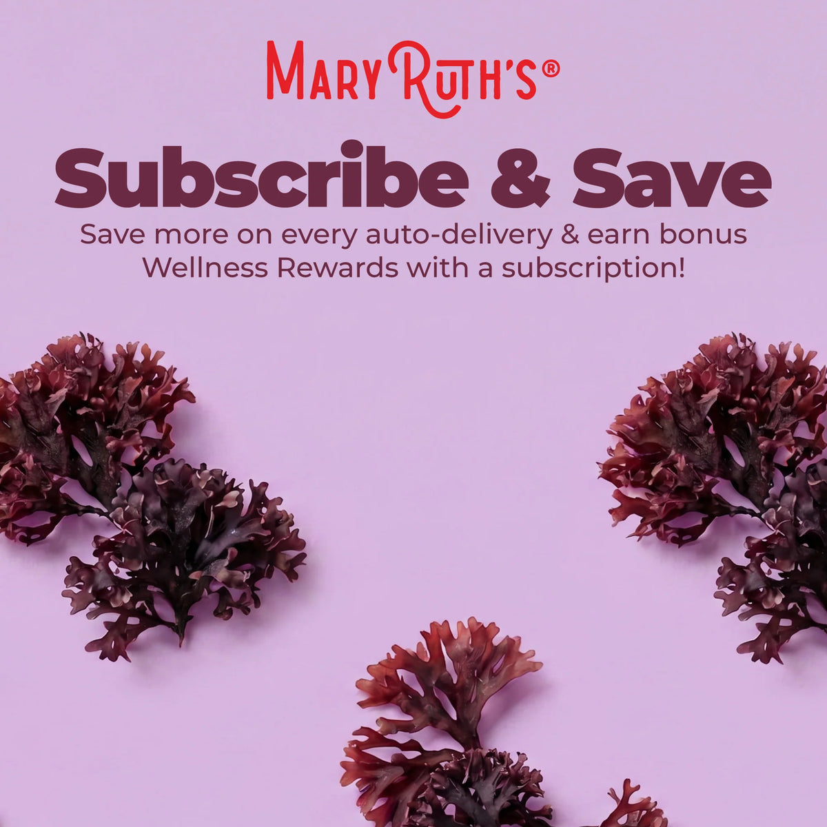 Organic Sea Moss Liquid Drops