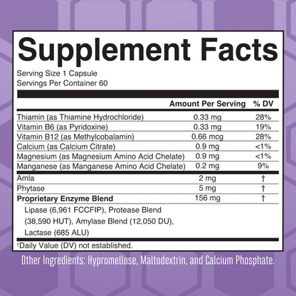 Lipase Protease Enzymes