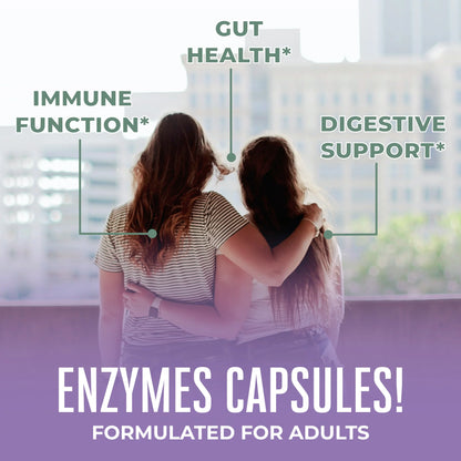 Lipase Protease Enzymes
