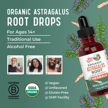 Organic Astragalus Root Herbal Drops